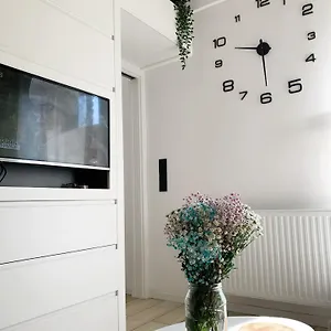 Daisy Gdańsk